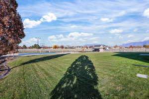Rear View of Backyard