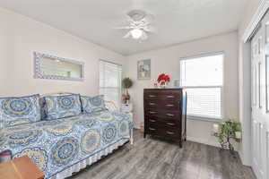 Bedroom with dark wood finished floors, multiple windows, a ceiling fan, and a textured ceiling