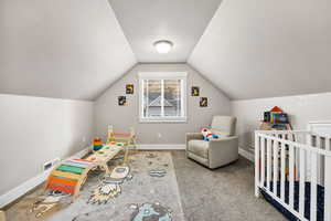 Carpeted bedroom with vaulted ceiling