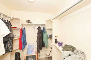 Walk in closet featuring carpet floors