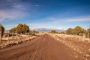 View of dirt / gravel road with a view of countryside