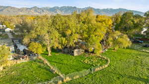 Aerial view of a mountain backdrop and a forest