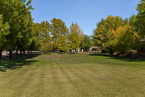 View of green lawn with view of wooded area