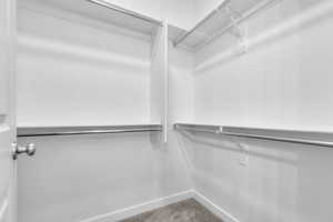 Spacious closet with light carpet