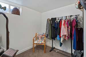 Spacious closet featuring carpet