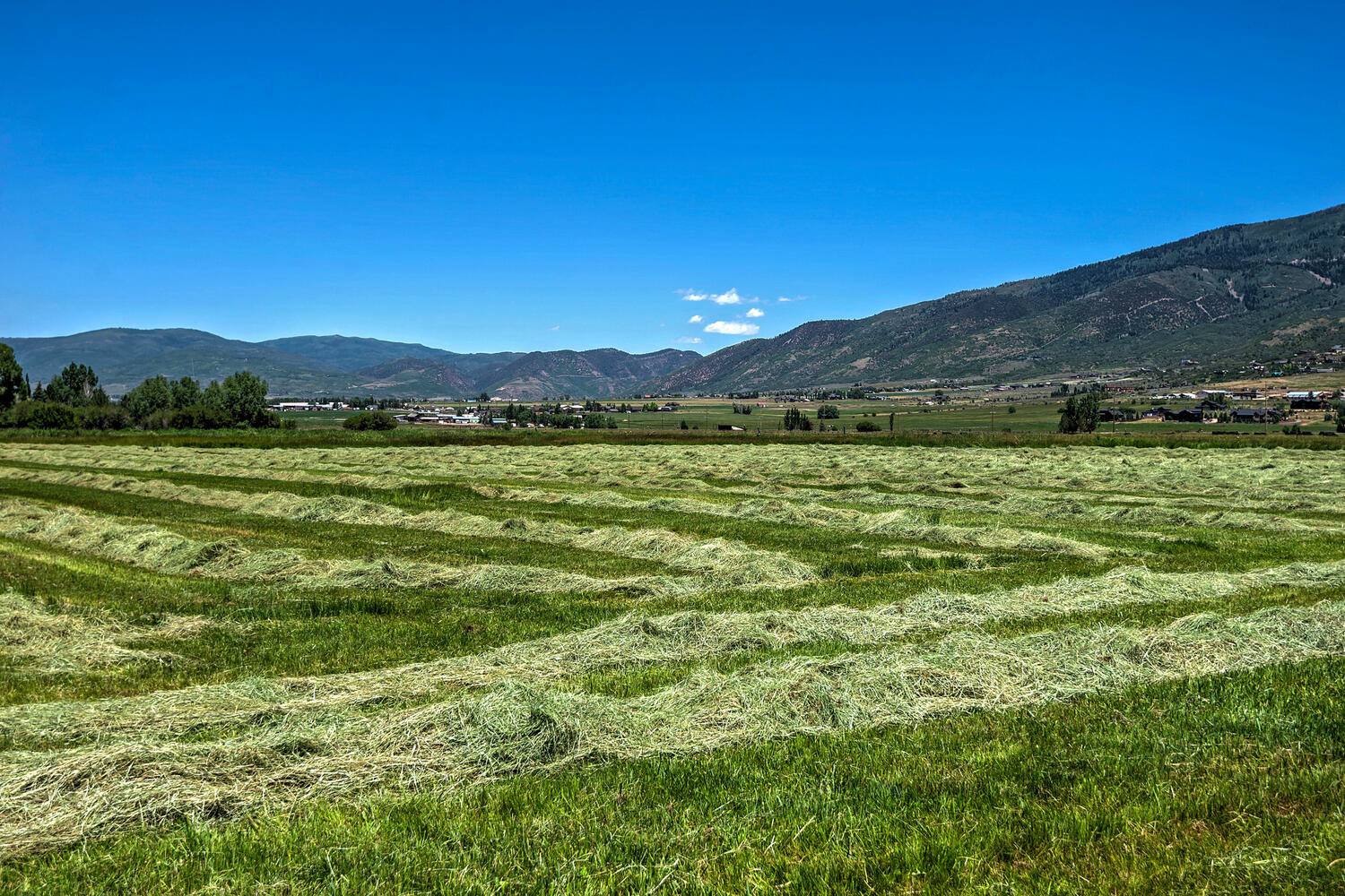Mountain view featuring rural landscape