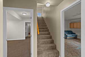 Staircase with carpet floors and a textured ceiling