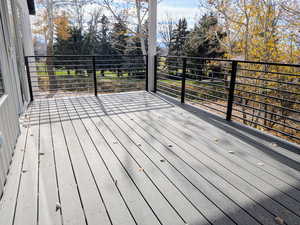 Wooden terrace with view of scattered trees