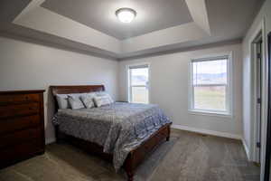 Bedroom with a raised ceiling, carpet floors, and a textured ceiling