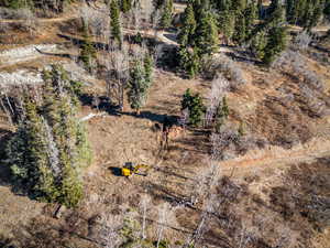 Aerial overview of property's location