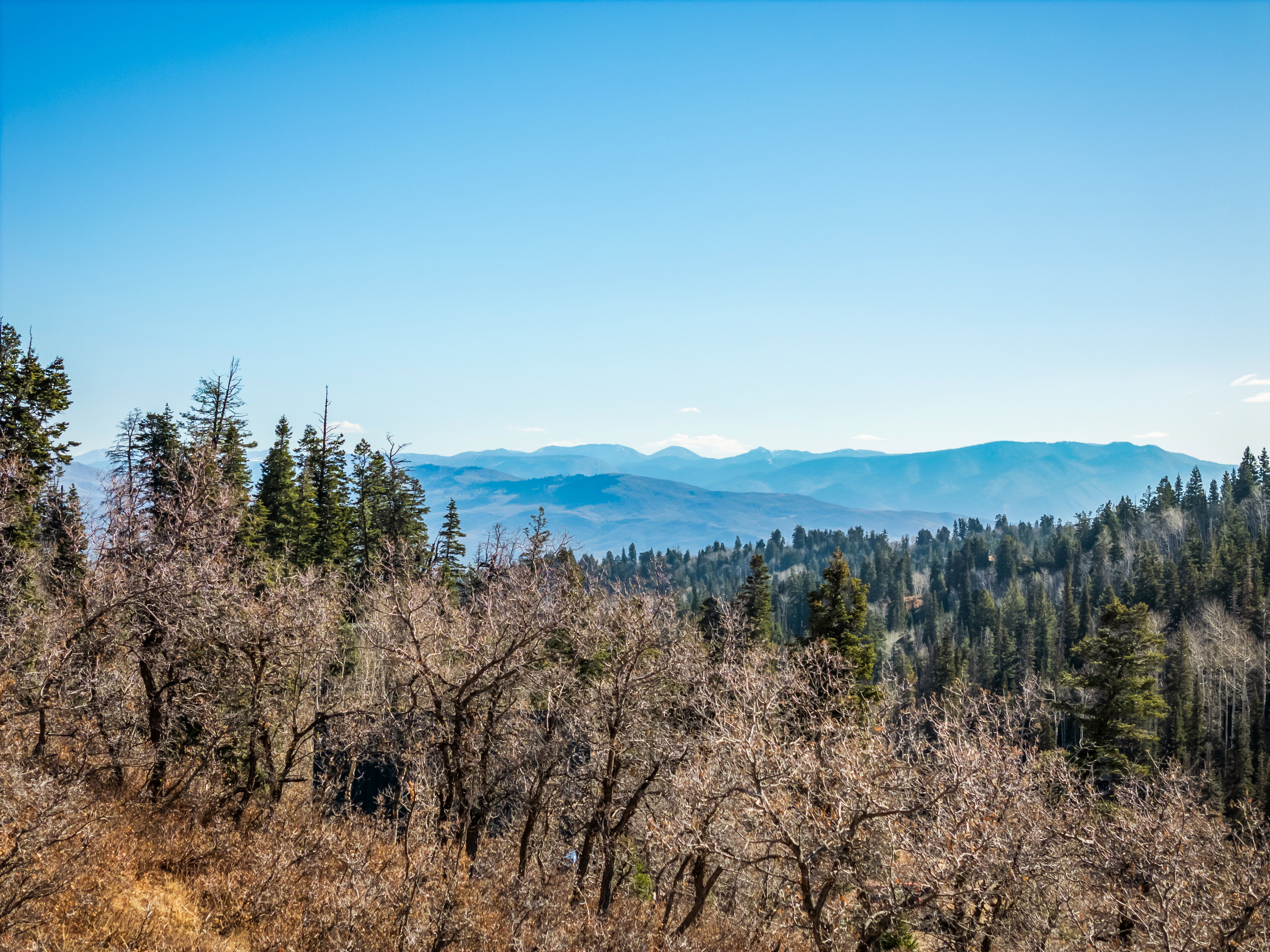 View of mountain background featuring a forest