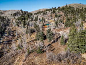 View of mountain backdrop featuring a heavily wooded area