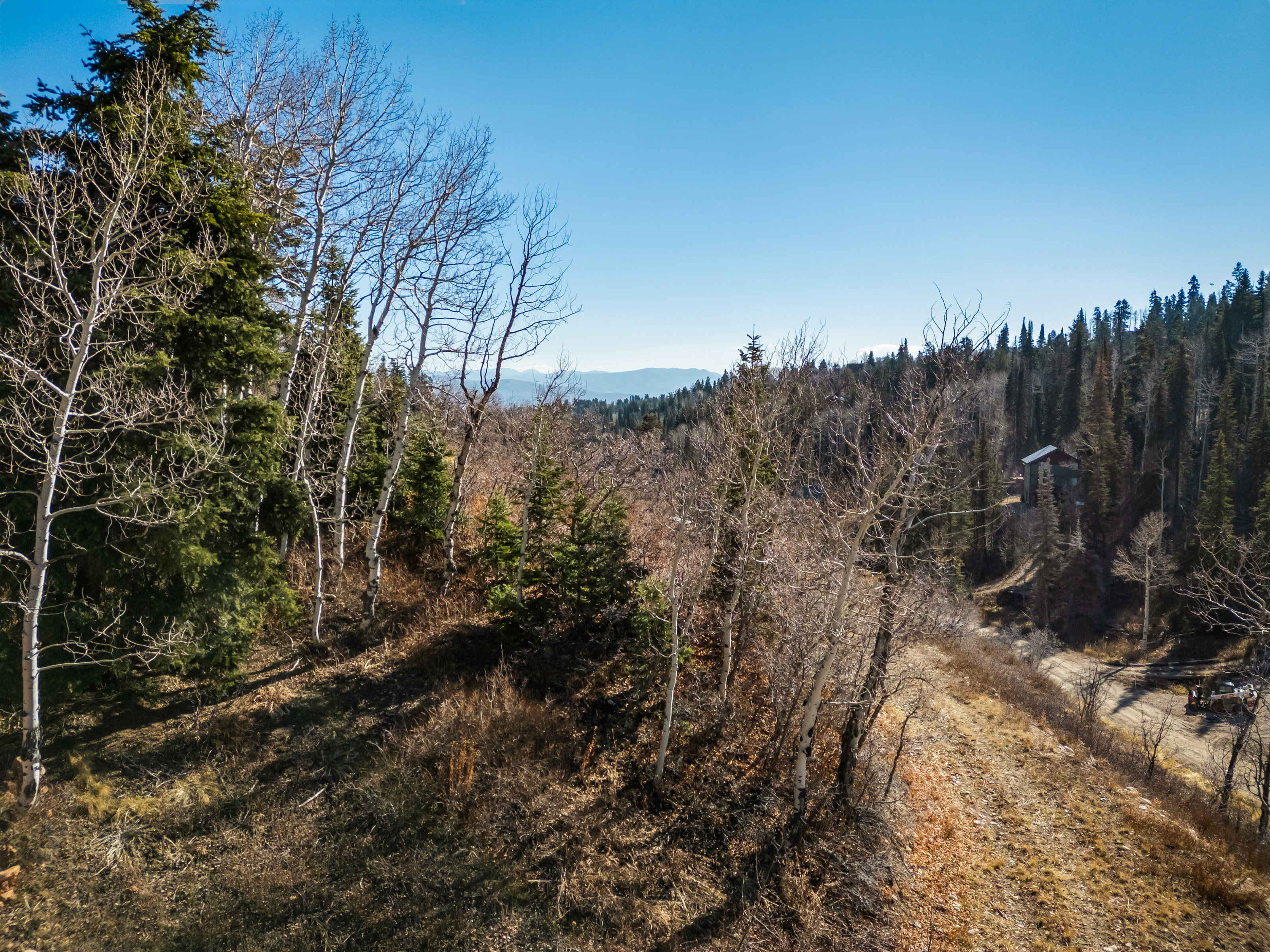 View of wooded area