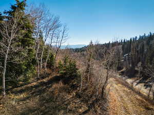 View of wooded area