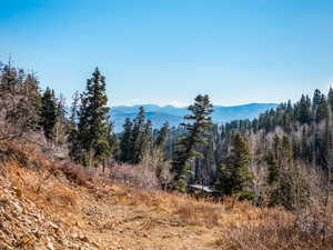 View of mountain backdrop featuring a forest