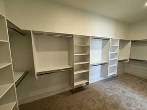 Walk in closet with light carpet