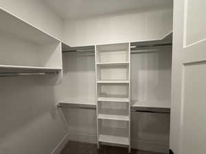 View of walk in closet