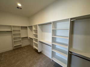 Spacious closet with dark carpet