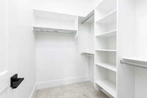 Spacious closet featuring light carpet