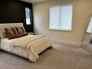 Carpeted bedroom featuring multiple windows