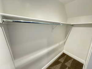 Spacious closet featuring dark colored carpet