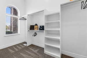 Walk in closet with dark colored carpet