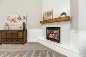 Detailed view of a glass covered fireplace and carpet floors