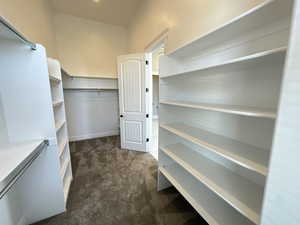 Walk in closet with dark colored carpet