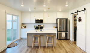 Kitchen with a barn door, stainless steel appliances, pendant lighting, light wood-style floors, and recessed lighting