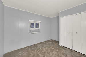 Unfurnished bedroom with carpet flooring, a closet, and ornamental molding