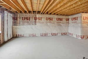 View of unfinished basement