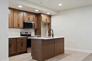 Basement Kitchen