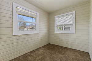 Spare room with dark carpet and wooden walls