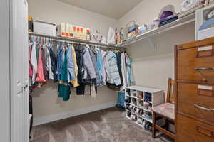 Spacious closet with light carpet