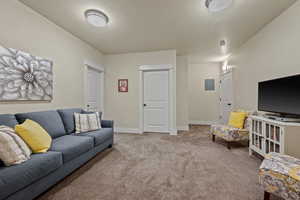 Living room featuring carpet flooring, a textured ceiling, and electric panel