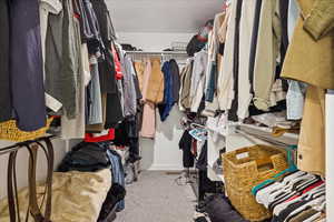 Spacious closet featuring light colored carpet