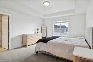 Bedroom with light colored carpet and a tray ceiling