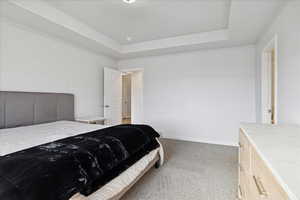 Bedroom with light colored carpet and a raised ceiling