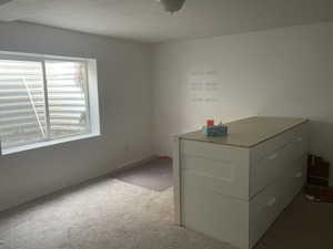 Unfurnished bedroom with carpet and a textured ceiling