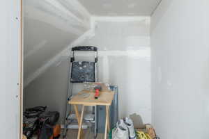 Basement storage under the stairs.