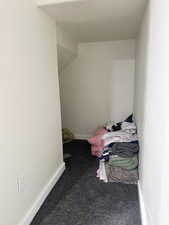 Finished storage area under the stairs.