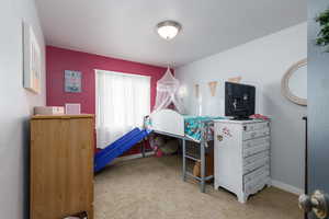 2dn floor guest bedroom with light colored carpet, oversized walk-in closet and window facing west.