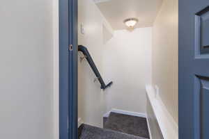 Stairs leading to the basement.