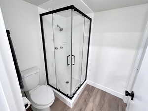 Primary full bathroom featuring wood finished floors, shower, and additional closet space