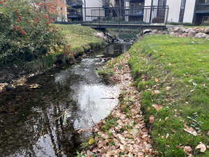 Picturesque views of mountains, slow moving stream, foot path bridges, and wood view