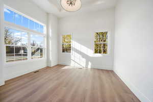 Spare room with a tray ceiling, light wood-type flooring, and healthy amount of natural light