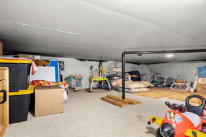 Crawl Space storage in basement