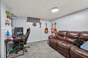 Basement bedroom with paneled walls and plush carpet