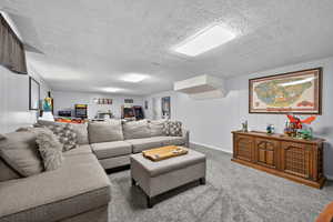 Carpeted basement living room with paneled walls and plush carpet