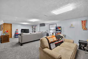 Carpeted basement living room with paneled walls and plush carpet